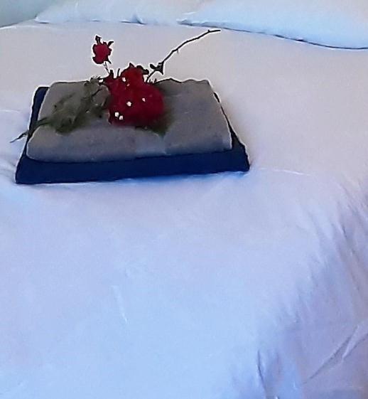 Casa Loro Loco B&B Pedralba Dış mekan fotoğraf