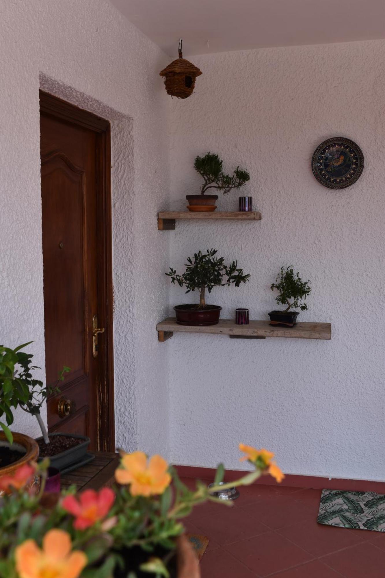 Casa Loro Loco B&B Pedralba Dış mekan fotoğraf